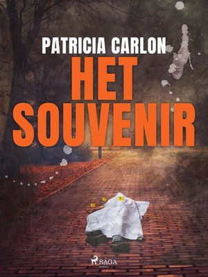 cover image of Het souvenir